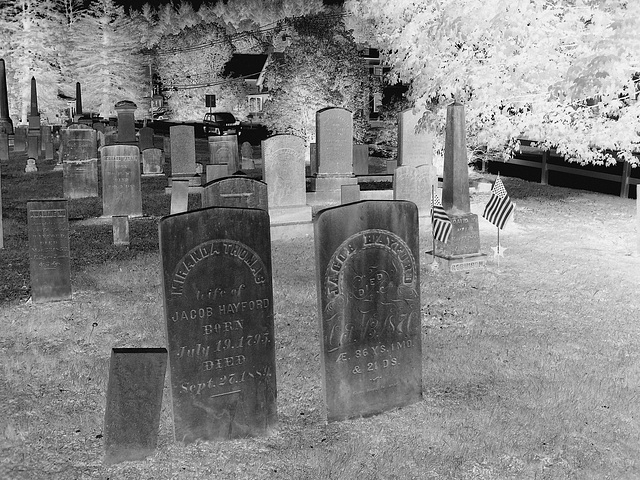 Cimetière de Johnson  /  Johnson's cemetery -   Vermont .  USA /  États-Unis.  23 mai 2009 -  N & B en négatif