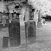 Cimetière de Johnson  /  Johnson's cemetery -   Vermont .  USA /  États-Unis.  23 mai 2009 -  N & B en négatif