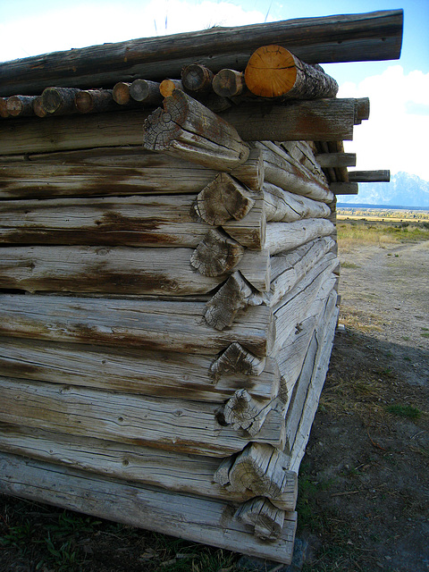 Cunningham Cabin (3724)