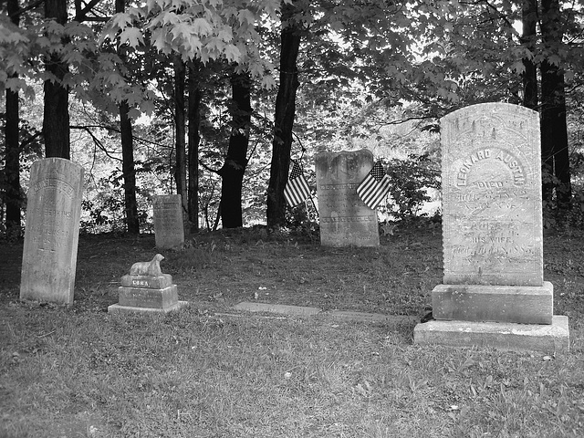 Cimetière de Johnson  /  Johnson's cemetery -   Vermont .  USA /  États-Unis.  23 mai 2009  -  N & B