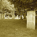 Cimetière de Johnson  /  Johnson's cemetery -   Vermont .  USA /  États-Unis.  23 mai 2009-  Francis Gridge. June 11. 1873. Sepia