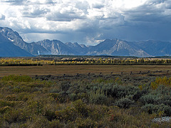 Tetons Viewed From Cunningham Cabin (1549)
