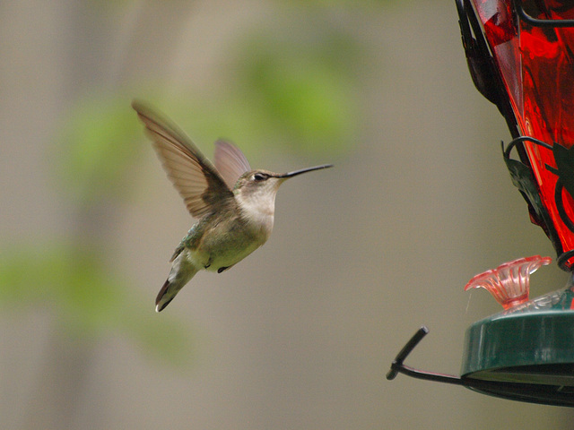 Mid flight