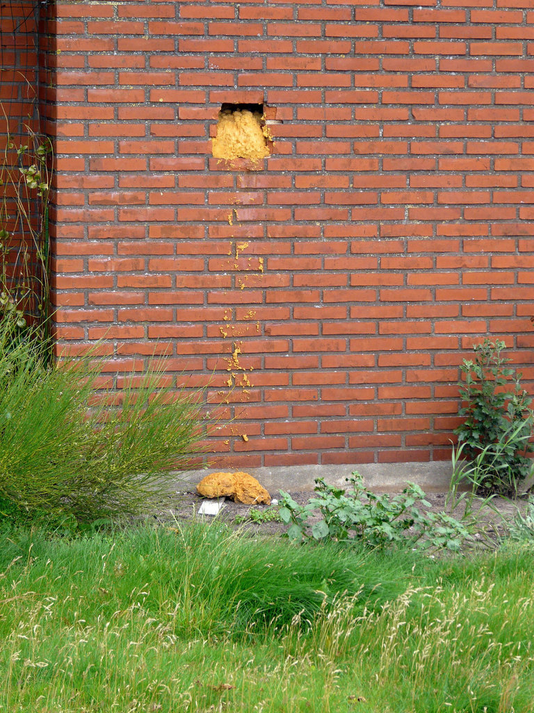 Ich kotze, wenn Du nicht gleich weitergehst!