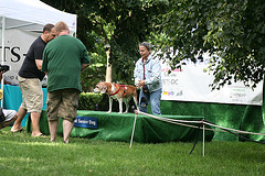 67.PrideOfPetsFunDogShow.Dupont.WDC.21June2009