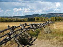 Buck & Rail Fence (1544)