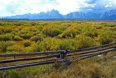 Buck and Rail Fence (3734)