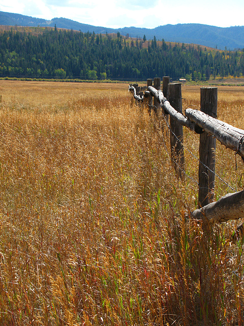 Fence (1533)