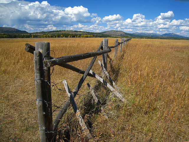 Fence (3708)