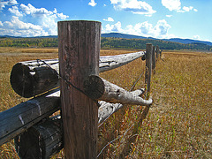 Fence (3710)