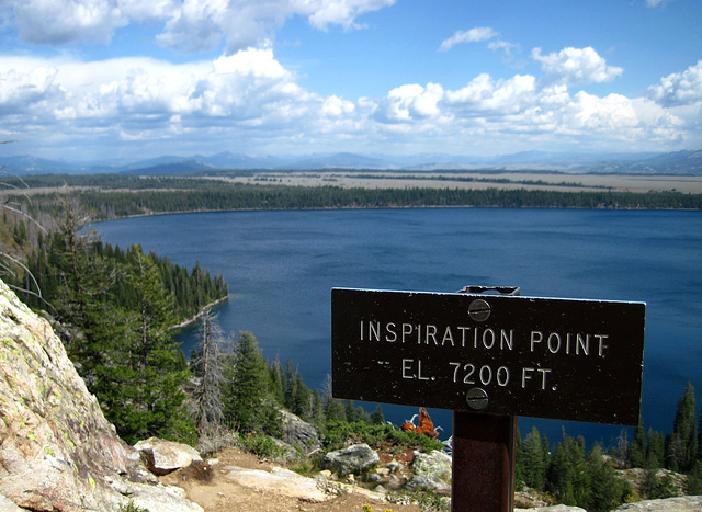 Inspiration Point Above Jenny Lake (0618)