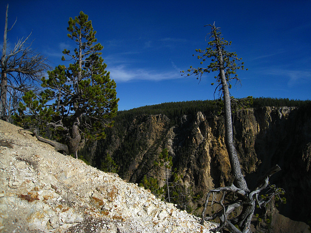 Grand Canyon of the Yellowstone River (4186)