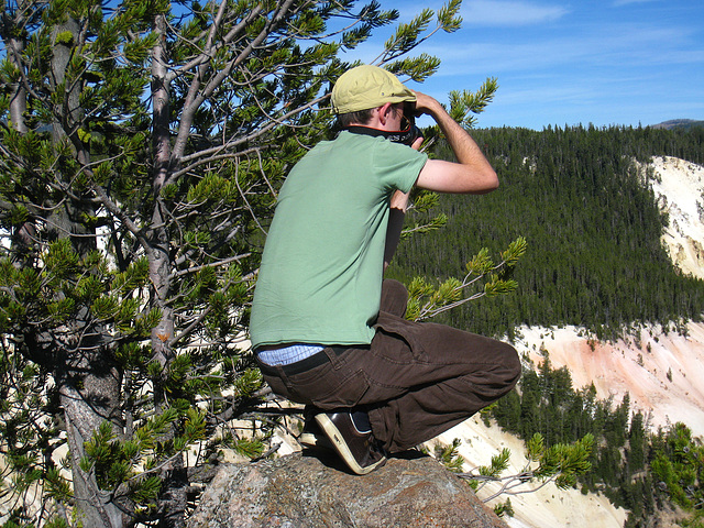 Visitor to Grand Canyon of the Yellowstone River (4177)