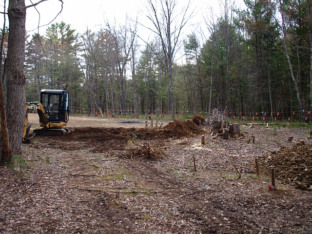 Let the stumping commence!