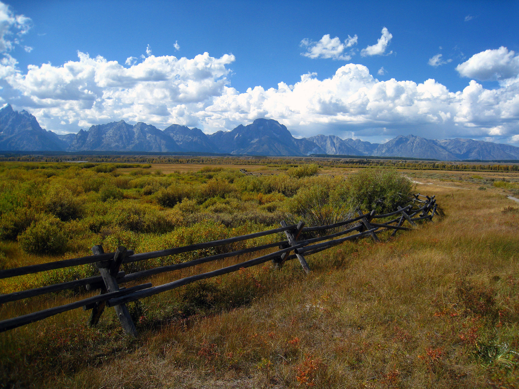 Grand Tetons (3711)