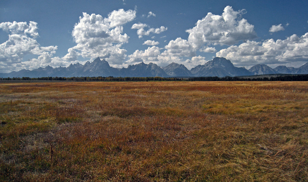 Tetons (3705)