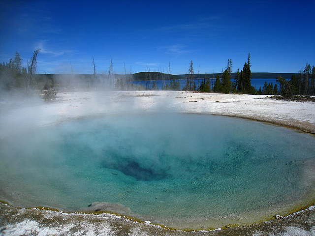 Blue Funnel Spring (4096)