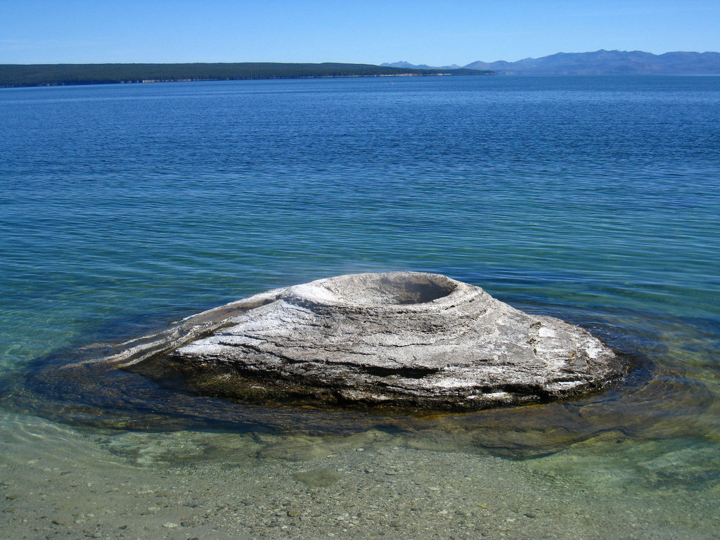 Fishing Cone (4085)