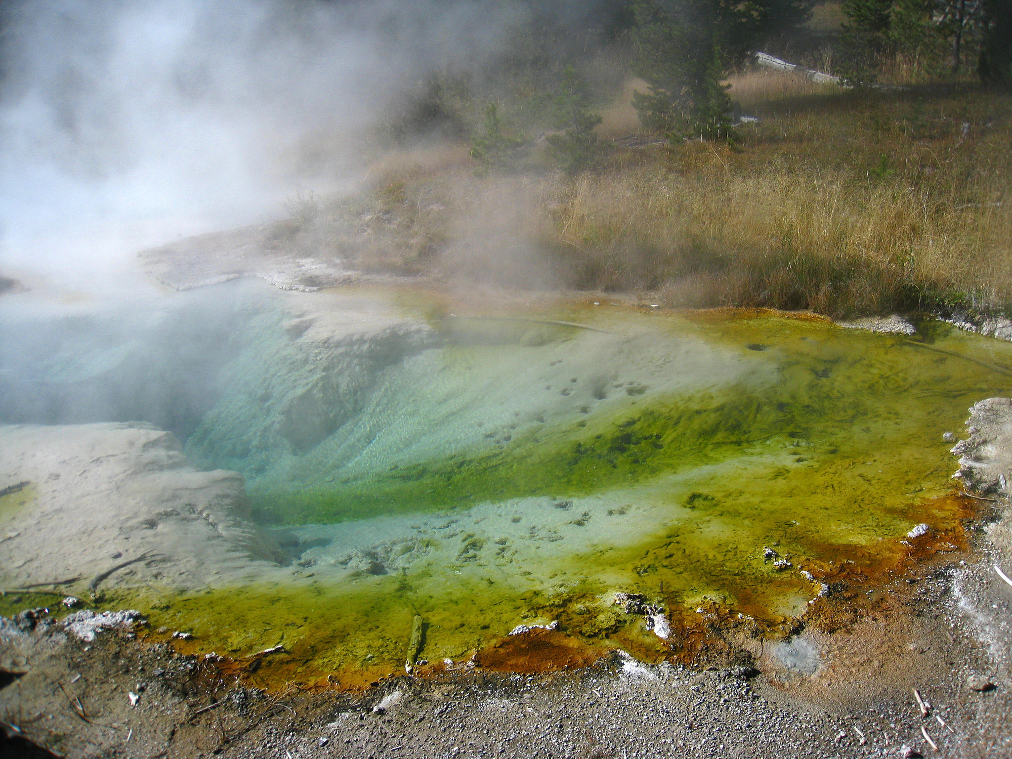 Seismograph Pool (4073)
