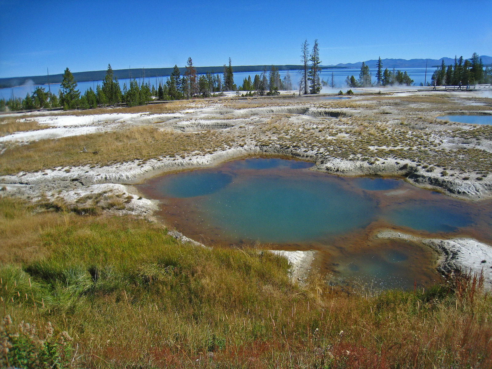 West Thumb Geyser Basin (4070)
