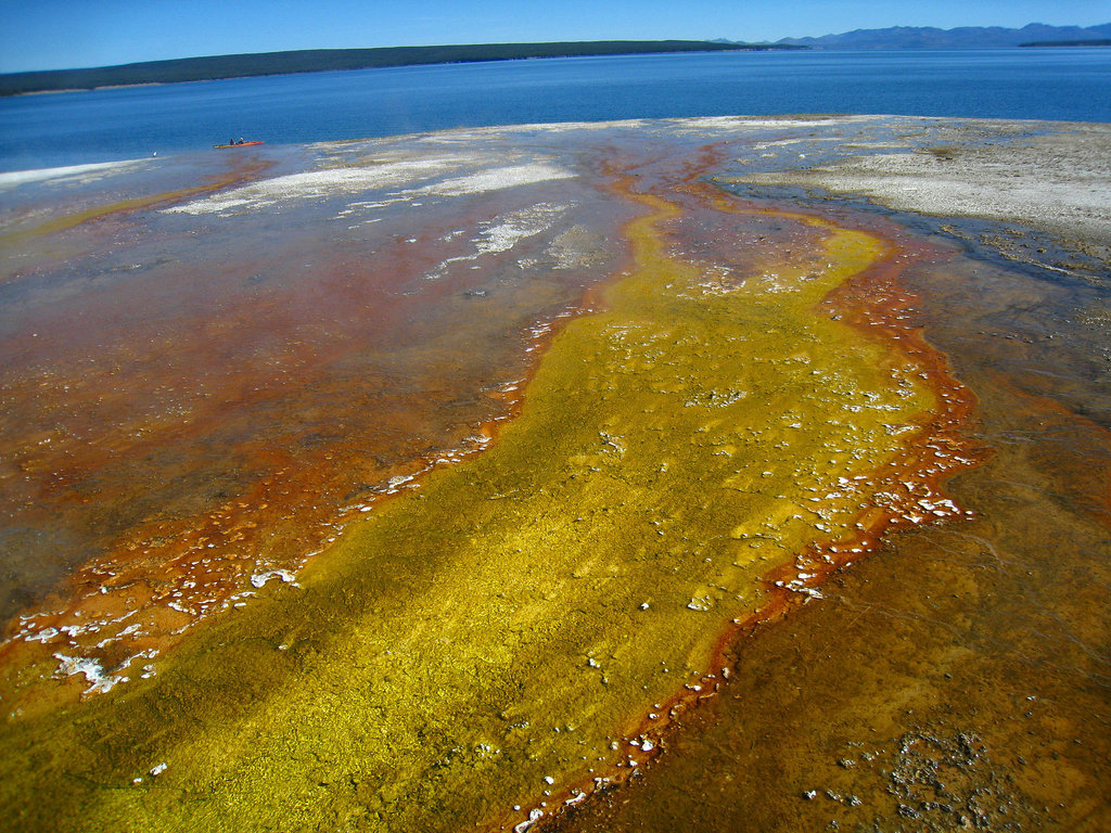 West Thumb Geyser Basin (4092)