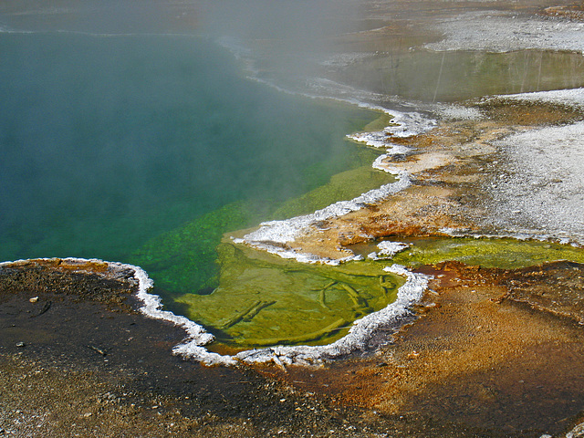 West Thumb Geyser Basin (4093)