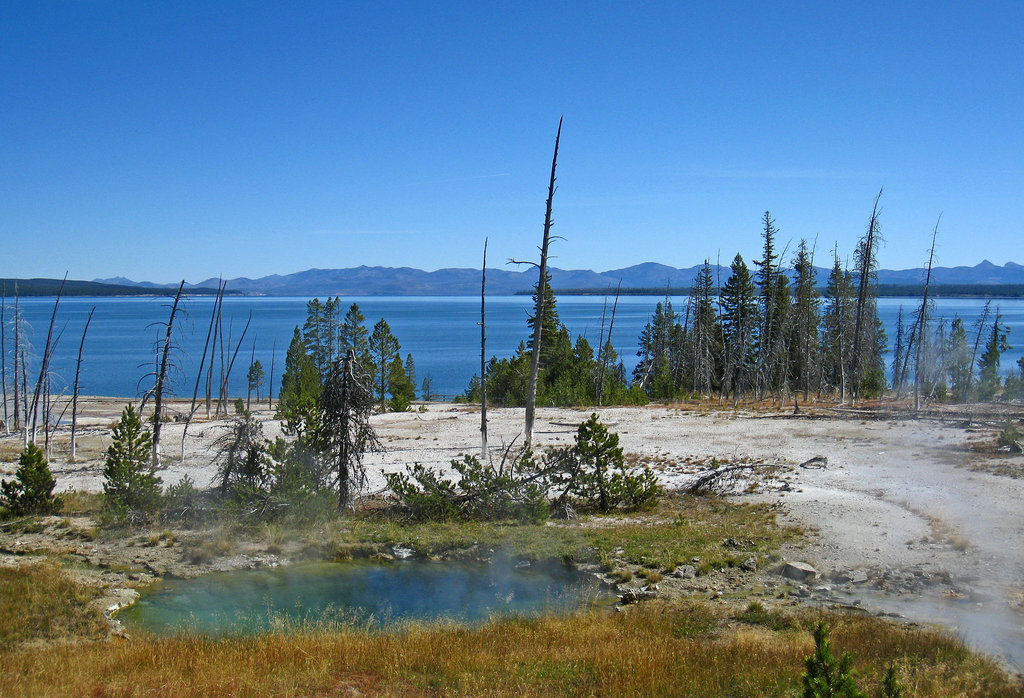 West Thumb Geyser Basin (4095)