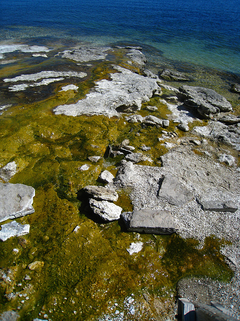 West Thumb Geyser Basin - Yellowstone Lake (4083)