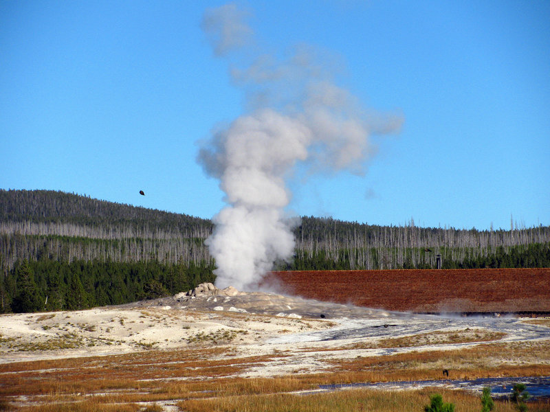 Old Faithful Geyser (1626)