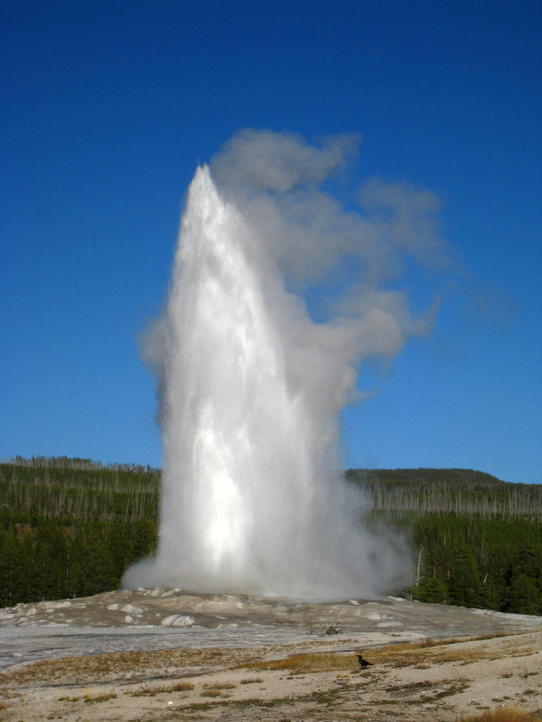 Old Faithful Geyser (4002)