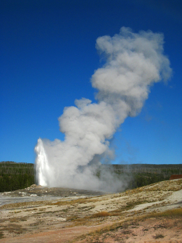Old Faithful Geyser (4010)