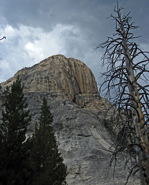 Beginning of the Grand Canyon Of The Tuolumne (0153)