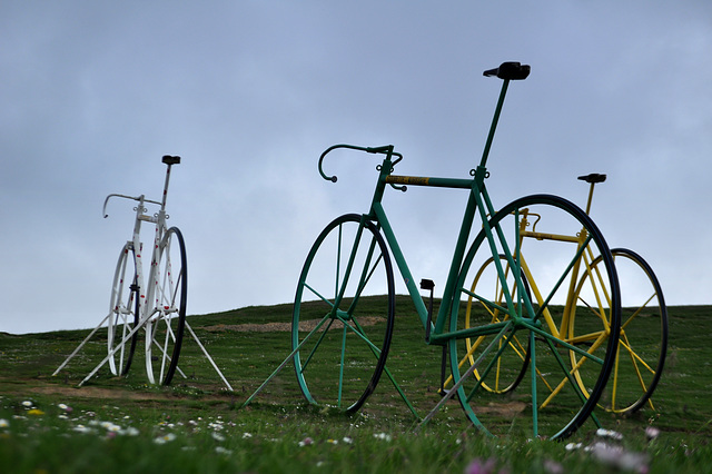 Vélo aux poils .