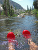 Red Crocs in the Tuolumne River (0138)