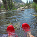 Red Crocs in the Tuolumne River (0138)