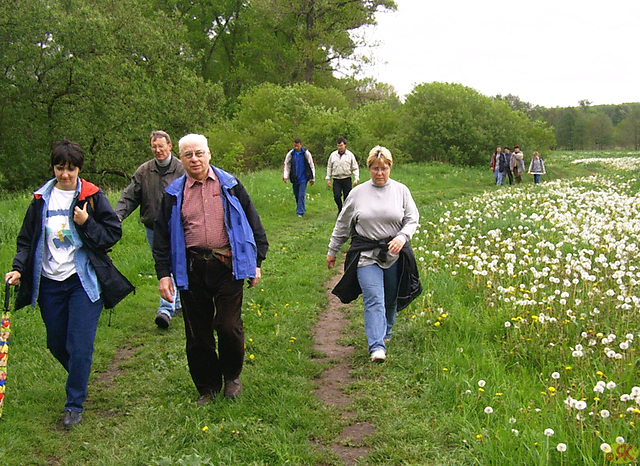 2004-05-08 Domholzschänke 21 Rückweg