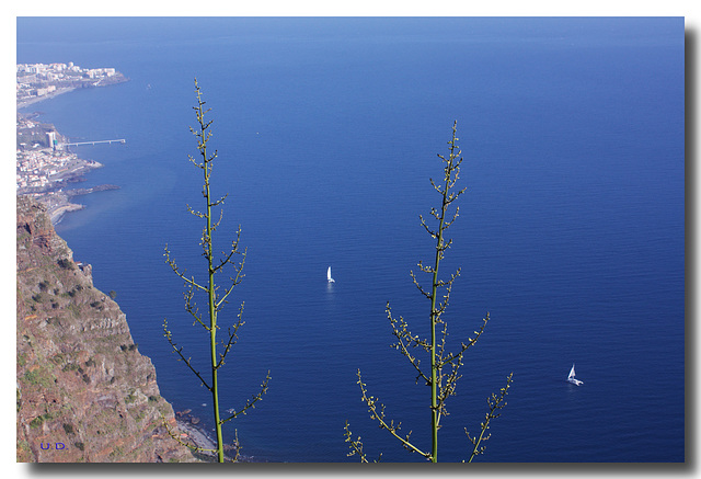 see down  from cliff Cabo Girã  catamarans look like children jollyboats