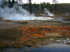 Old Faithful Area (4049)