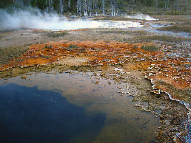 Hot Pool in Old Faithful Area (4042)