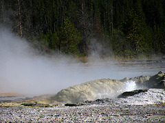 Old Faithful Area (1607)