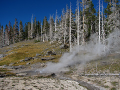 Old Faithful Area (1609)