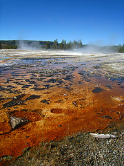 Old Faithful Area (3880)