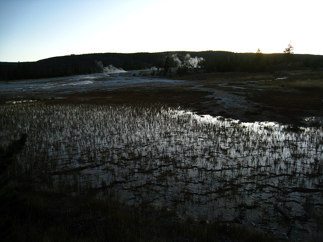 Old Faithful Area (4050)