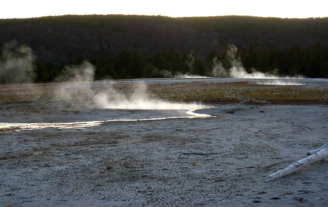 Old Faithful Area (4054)