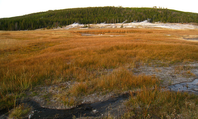 Old Faithful Area (4058)