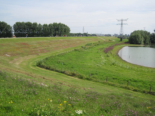 Op de dijk