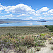 Mono Lake (1)