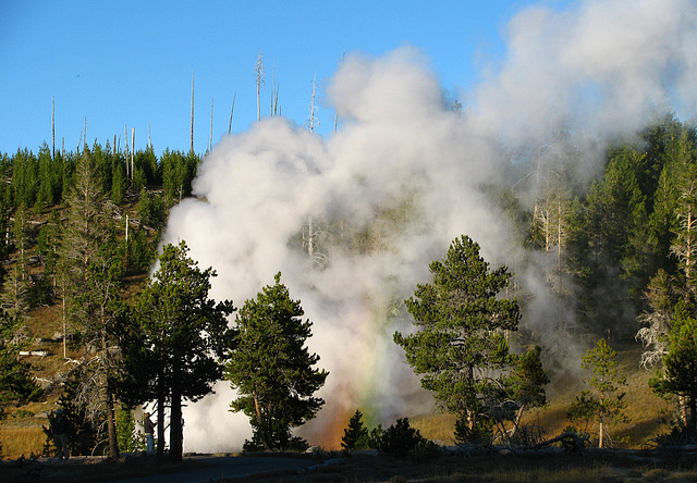 Riverside Geyser (1634)