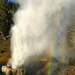 Riverside Geyser (4030A)