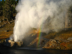 Riverside Geyser (4035)